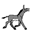 donkey_animated