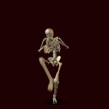 EsqueletoSorrateiro